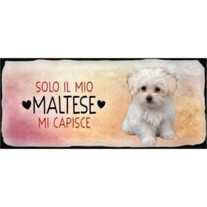 Placca Metallo Cane"Maltese"