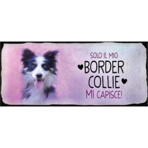 Placca Metallo Cane "Border Collie"