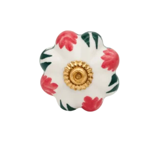 Pomello Rosso Verde Ceramica Foglie